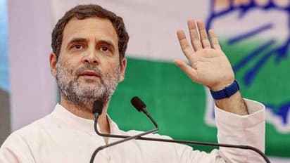 Bharat Jodo Yatra: ಪಾದಯಾತ್ರೆಯಲ್ಲಿ ಕನ್ನಡದ ಸ್ವಾಭಿಮಾನಿ ಕಿಚ್ಚು ಹೊತ್ತಿಸಿದ ರಾಹುಲ್ ಗಾಂಧಿ