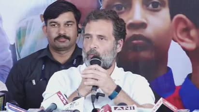 காங்கிரஸ் தலைவராக யார் வெற்றி பெற்றாலும் முழு சுதந்திரமாக செயல்படுவர்... அடித்து கூறிய ராகுல் காந்தி.  