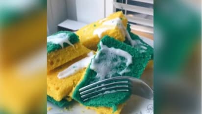 Food Video: ഡിഷ് സ്പോഞ്ചിന്‍റെ മാതൃകയില്‍ കേക്ക്; വിമര്‍ശനവുമായി സോഷ്യല്‍ മീഡിയ 