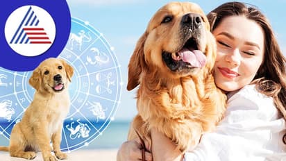 ನಾಯಿ ಸಾಕುವುದು ಎಲ್ಲರಿಗೂ ಶುಭವಲ್ಲ, ಜ್ಯೋತಿಷ್ಯ ಏನನ್ನುತ್ತೆ ಕೇಳಿ!