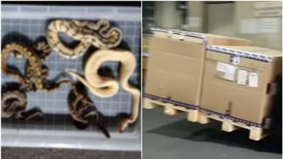 രേഖകളില് പ്രകാരം അക്വേറിയത്തിലെ മീനുകള്; പെട്ടികള് തുറന്നപ്പോള് ഞെട്ടി ഡിആര്ഐ, അമ്പരന്ന് രാജ്യം