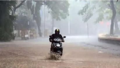 Karnataka Rains: ಕರ್ನಾಟಕದಲ್ಲಿ ಮಳೆಗೆ ನಾಲ್ವರ ಬಲಿ ​