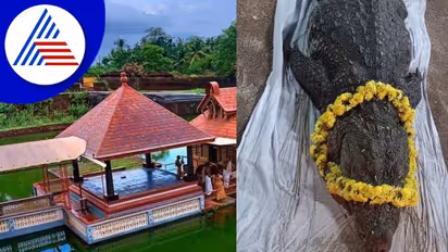 ಅನಂತ ಪದ್ಮನಾಭ ದೇವಸ್ಥಾನದ 'ಬಬಿಯಾ' ಇನ್ನಿಲ್ಲ!