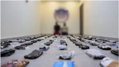 കുവൈത്തില്‍ വന്‍ ലഹരിമരുന്ന് വേട്ട; 131 കിലോ ഹാഷിഷ് പിടികൂടി