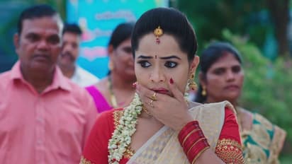 Karthika Deepam: మోనితను ప్రశ్నించిన కార్తీక్! ప్రాణాలు తీస్తాను అంటూ దీపకు మోనిత వార్నింగ్!