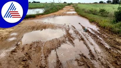 ರಸ್ತೆ ಕೆಸರು ಗದ್ದೆ, ವಾಹನ ಸಂಚಾರ ದುಸ್ತರ; ಸೌಲಭ್ಯ ವಂಚಿತ ಗ್ರಾಮ ದಿಬ್ಬದಹಟ್ಟಿ