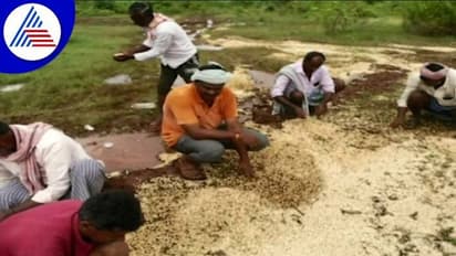 ಧಾರವಾಡ: ವರುಣನ ಆರ್ಭಟಕ್ಕೆ ನೀರು ಪಾಲಾದ ಬೆಳೆ: ಕಣ್ಣೀರಿಟ್ಟ ಅನ್ನದಾತ..! 