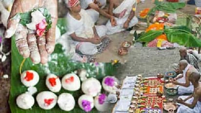 பித்ருதோஷத்தால் பாதிக்கப்பட்டிருக்கிறீர்களா.. தோஷம் குறைய இதை செய்யுங்க!