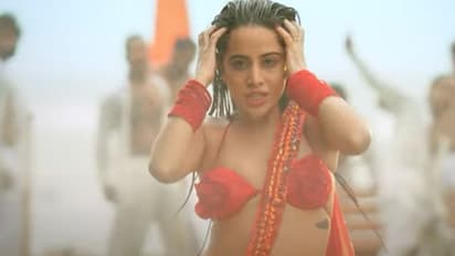 আর একটু হলেই ক্যামেরার সামনে খুলে যেত ফিনফিনে শাড়ি! ভাইরাল ভিডিও শেয়ার করলেন উরফি জাভেদ