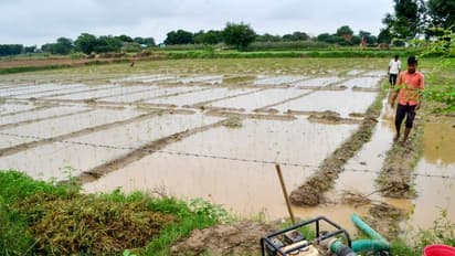 Weather Report: बेमौसम बारिश ने बिगाड़े कई राज्यों के हाल, यूपी में 1300 से अधिक गांवों में बाढ़