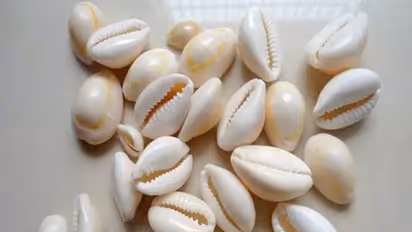  ఇంట్లో గవ్వలు పెట్టుకుంటే సంపాదన పెరుగుతుందా?