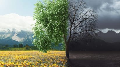 நற்தேவதைகளும், துர்தேவதைகளும்... வாழ்க்கையில் தெரிந்துகொள்ள வேண்டிய விஷயம்!