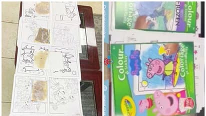 കുട്ടികളുടെ കളറിങ് ബുക്കുകളില്‍ ഒളിപ്പിച്ച് കഞ്ചാവ്; പിടിയിലായത് കസ്റ്റംസ് പരിശോധനയില്‍