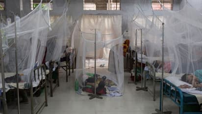 പ്രളയത്തിന് പിന്നാലെ മലേറിയ പടരുന്നു; ഇന്ത്യയില് നിന്ന് 62 ലക്ഷം കൊതുകുവല വാങ്ങാന് പാകിസ്ഥാന്