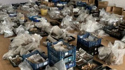 അടച്ചിട്ട കെട്ടിടത്തിന് അടിയില് കുട്ടികളടക്കം 240-ലധികം പേരുടെ ശരീര അവശിഷ്ടങ്ങൾ