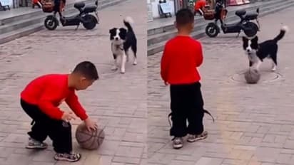 திடீரென்று நாய் கடித்தால் என்ன செய்யலாம்..?? இதோ உங்களுக்கான டிப்ஸ்..!!