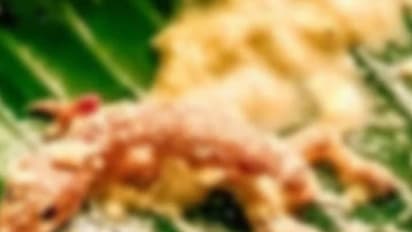 பிரபல ஹோட்டல் சட்னியில் இறந்து கிடந்த பல்லி.. தெனாவட்டாக பதில் சொன்ன ஓனர்! அதிரடி நடவடிக்கையில் உணவுத்துறை.!