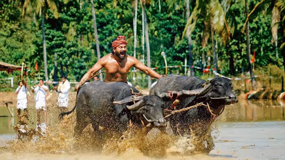 Kantara box office collection : KGF को पछाड़ने वाली कांतारा से जुड़ी 8 अहम बातें, ऑस्कर के लिए लॉबिंग शुरु