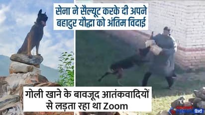 दो गोलियां खाने पर भी आतंकवादियों से बहादुरी से लड़कर शहीद हुए योद्धा जूम को आर्मी ने दी अंतिम सलामी