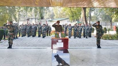 జూమ్ కు ఘన నివాళి అర్పించిన ఇండియన్ ఆర్మీ.. సైనిక లాంఛనాలతో అంత్యక్రియలు (వీడియో)