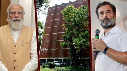 হিমাচল প্রদেশ-গুজরাট বিধানসভা নির্বাচনের তারিখ ঘোষণা, দিল্লিতে সাংবাদিক সম্মেলন কমিশনের