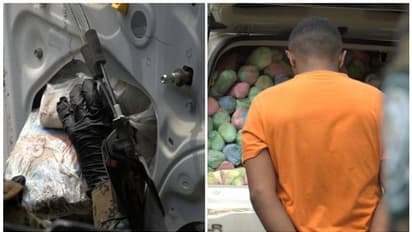 സൗദിയില് വന് ലഹരിമരുന്ന് വേട്ട; 772 കിലോ ഹാഷിഷ് പിടികൂടി, 80 പേര് അറസ്റ്റില്