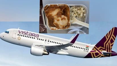 ఎయిర్ విస్తారా భోజ‌నంలో బొద్దింక‌..  ఎయిర్ లైన్స్ సంస్థ ఏం చెప్పిందంటే..? 