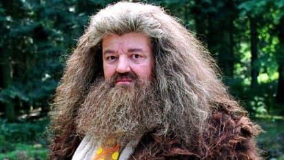 'हैरी पोटर' फिल्मों के दिग्गज एक्टर का निधन, 72 साल की उम्र में ली अंतिम सांस