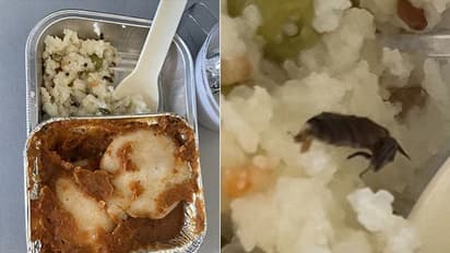 விமானத்தில் வழங்கிய உணவில் செத்துக் கிடந்த கரப்பான் பூச்சி.. சாப்பாட்டில் கை வைத்த பயணிக்கு பயங்கர அதிர்ச்சி.
