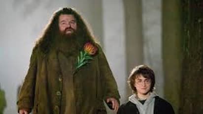 புகழ்பெற்ற ஹாரிபாட்டர்  நடிகர் 'ராபி கோல்ட்ரேன்' காலமானார்..