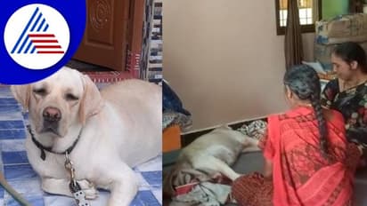 ಪ್ರೀತಿಯ ಶ್ವಾನ ಸಾವು; ಅನ್ನ, ನೀರು ಬಿಟ್ಟು ಅಳುತ್ತಾ ಕುಳಿತ ಕುಟುಂಬಸ್ಥರು