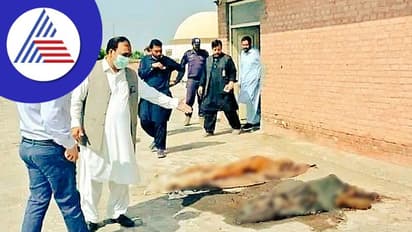 Pakistan ಆಸ್ಪತ್ರೆ ಮೇಲ್ಛಾವಣಿಯಲ್ಲಿ 400ಕ್ಕೂ ಹೆಚ್ಚು ಕೊಳೆತ ದೇಹಗಳು ಪತ್ತೆ: ತನಿಖೆಗೆ ಆದೇಶ