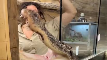 मगरमच्छ के साथ खिलवाड़ कर रही महिला को मिला ऐसा सबक.. यूजर बोला- मत भूलो ये खतरनाक सरीसृप है