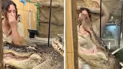 'സാഹസികര് തന്നെ'; മൃഗശാലയില് നിന്നുള്ള വീഡിയോ നോക്കൂ...