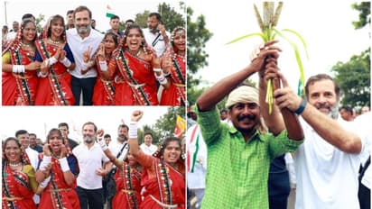 സര്‍വ്വം രാഹുല്‍ മയം; സുപ്രധാന നാഴികകല്ല് പിന്നിട്ട് ഭാരത് ജോ‍ഡോ യാത്ര, പാര്‍ട്ടിക്ക് വന്‍ പ്രതീക്ഷകള്‍