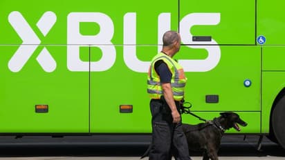 അറസ്റ്റ് ഭയന്ന് പൊലീസ് നായയെ കടിച്ചു, യുവാവിന് കിട്ടിയത് കട്ടപ്പണി!