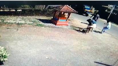 തെരുവു നായയെ പിന്നാലെയെത്തി തല്ലി, കടിവാങ്ങി, തല്ലിക്കൊന്നു, കേസ് -വീഡിയോ