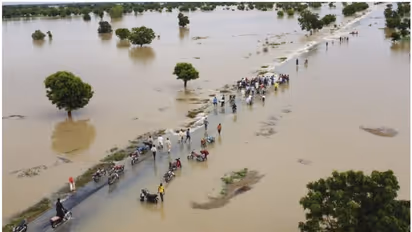 കണ്ണീർ കടലായി നൈജീരിയ, സർവനാശം വിതച്ച് മഹാ പ്രളയം; മരണം 500 കടന്നു, ലക്ഷത്തിലേറെ വീടുകൾ വെള്ളത്തിനിടയിൽ