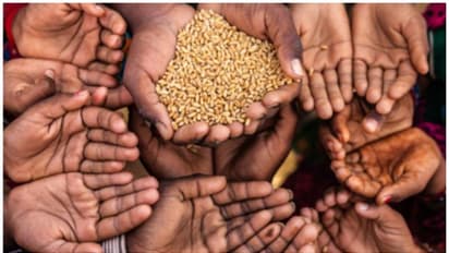 'തെറ്റായ വിവരങ്ങളാണ്, പ്രതിഛായ തകർക്കാനുള്ള നീക്കം'; ആഗോള പട്ടിണി സൂചികയിൽ ഇന്ത്യയുടെ പ്രതികരണം