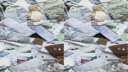 బెజవాడ కోర్టు సిబ్బంది నిర్లక్ష్యం.. చెత్త బుట్టలో న్యాయవాదులు దాఖలు చేసిన కాగితాలు...