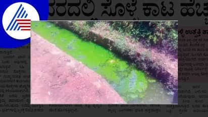 ಹೊನ್ನಾವರದಲ್ಲಿ ಸೊಳ್ಳೆಕಾಟ ಹೆಚ್ಚಳ; ಆತಂಕ