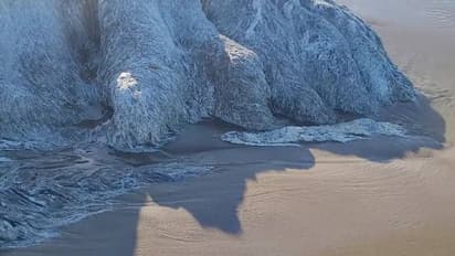 കണ്ടാൽ ഭീമാകരനായ ചെകുത്താനെ പോലെ, ദേഹം നിറയെ രോമം, തീരത്ത് അജ്ഞാതജീവിയുടെ ജഡം