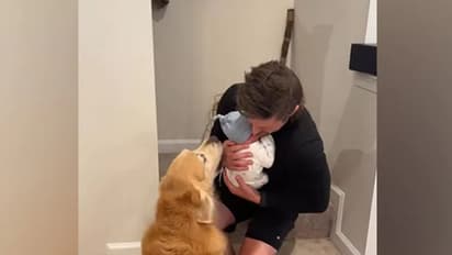 വീട്ടില് ജനിച്ച കുഞ്ഞിനെ ആദ്യമായി കാണുന്ന വളര്ത്തുനായ്ക്കള്; വീഡിയോ