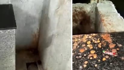 'അയ്യയ്യേ... നാണക്കേട്'; വൈറലായി മെട്രോ സ്റ്റേഷനില് നിന്നുള്ള വീഡിയോ