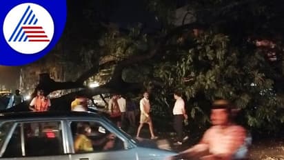 Bengaluru Heavy rains: ರಾಜಧಾನಿಯಲ್ಲಿ ಸರ್ವಕಾಲಿಕ ದಾಖಲೆ ಮಳೆ