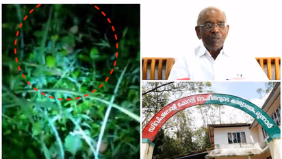 ചെങ്കുളത്ത് കണ്ട പുലിയെച്ചൊല്ലി വിവാദം, വനംവകുപ്പ് കൊണ്ടു വിട്ടതാണെന്ന് എംഎം മണി