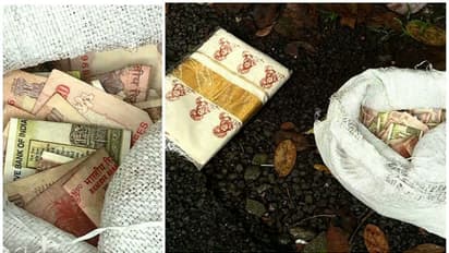നോട്ടുകളും നാണയങ്ങളും ചാക്കിൽ ഉപേക്ഷിച്ച നിലയിൽ; ആരാധനാലയങ്ങളിൽ നിന്ന് മോഷ്ടിച്ചതെന്ന് സംശയം