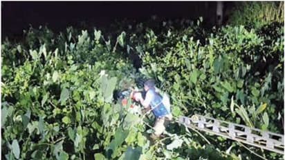 ബസില്‍ തുപ്പി, വനിതാ കണ്ടക്ടറെ അസഭ്യം വിളിച്ചു; പൊലീസെന്ന് കേട്ടപ്പോള്‍ യുവാക്കള്‍ ചതുപ്പിലേക്ക് ചാടി