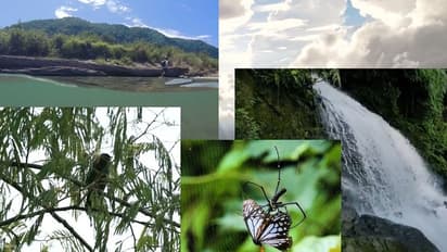 Viral video, Nature, Social Media Tourism, Northeast India, Arunachal Tourism, tourism industry