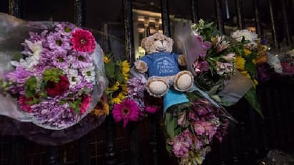 എലിസബത്ത് രാജ്ഞിക്കായി സമർപ്പിച്ച പാവക്കുട്ടികൾ ഇനി കുട്ടികളുടെ ചാരിറ്റിയിലേക്ക്